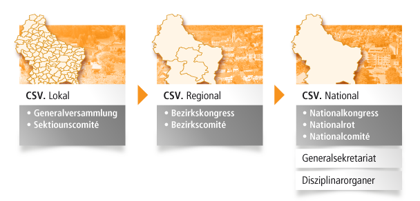 Organigramm CSV